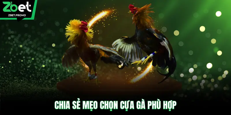 Chia sẻ mẹo chọn cựa gà phù hợp