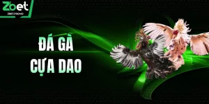 Đá Gà Cựa Dao – Đỉnh Cao So Tài, Bùng Nổ Đam Mê Cùng ZBET