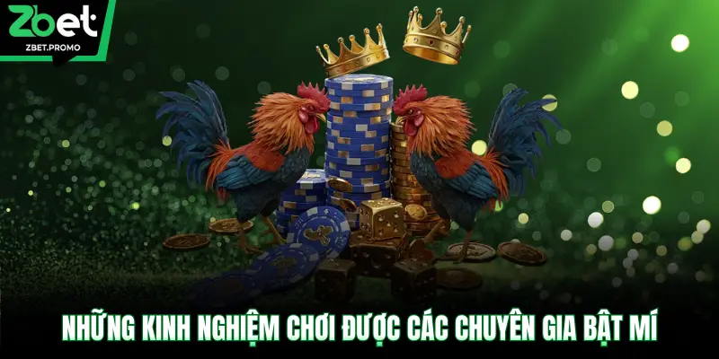 Những kinh nghiệm chơi được các chuyên gia bật mí