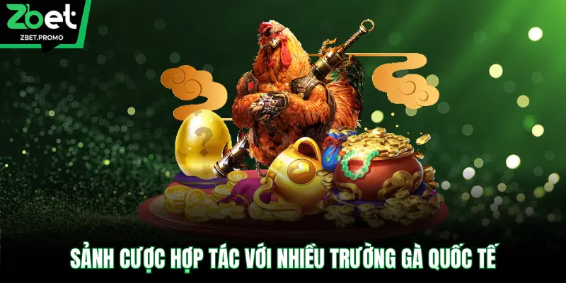 Sảnh cược hợp tác với nhiều trường gà quốc tế